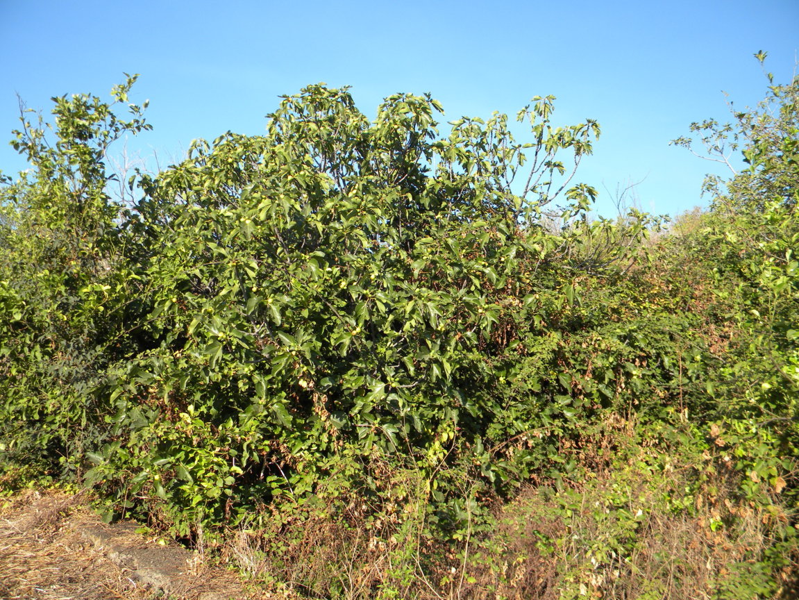 DSCN8059 .JPG